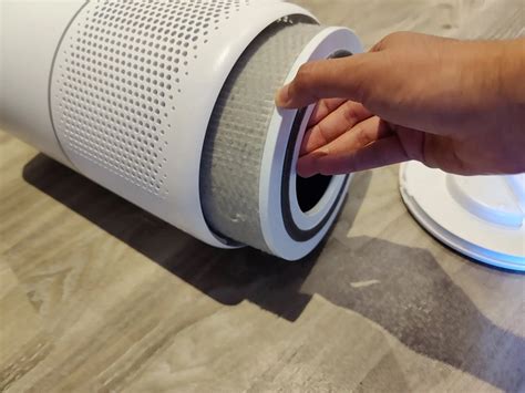 How to Clean Levoit Air Purifier Filter: A Journey Through Dust and Imagination