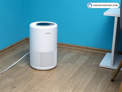 Where Should I Place My Air Purifier: A Journey Through the Labyrinth of Airflow and Imagination