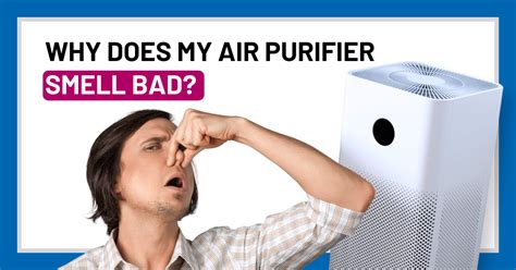 Why Does My Air Purifier Smell Weird? And Why Does It Remind Me of That One Time I Tried to Bake a Cake in a Toaster?